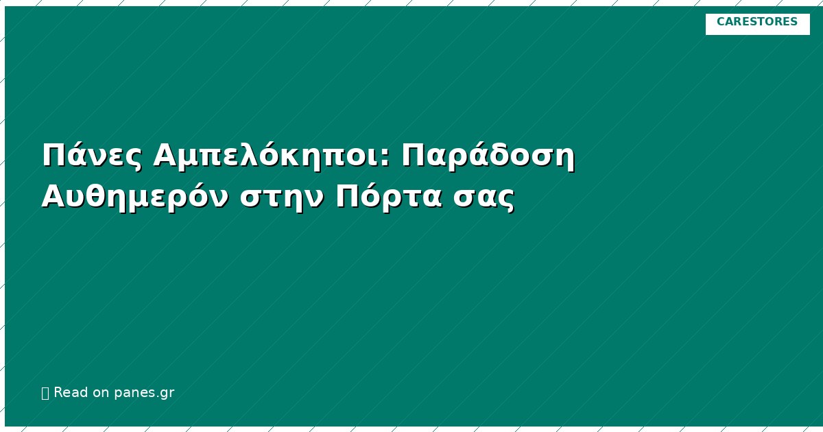 Πάνες Αμπελόκηποι: Παράδοση Αυθημερόν στην Πόρτα σας