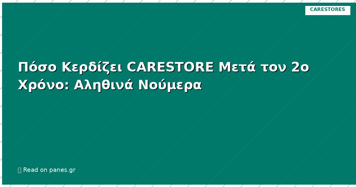 Πόσο Κερδίζει CARESTORE Μετά τον 2ο Χρόνο: Αληθινά Νούμερα