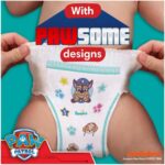 Pampers Baby-Dry πανα βρακακι Paw Patrol Edition Monthly Pack Νο4 9kg-15kg 180τμχ - 1