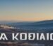 Οδηγός αγοράς για γηροκομεία: Τα απαραίτητα αναλώσιμα